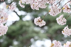 ファンタジック④