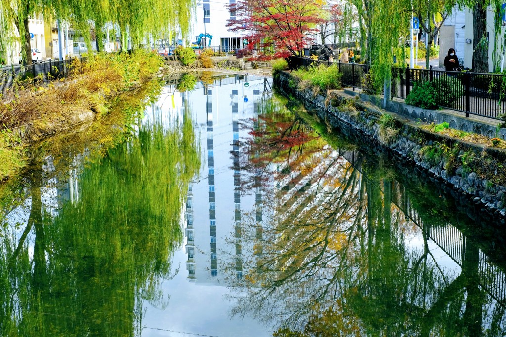 広瀬川①