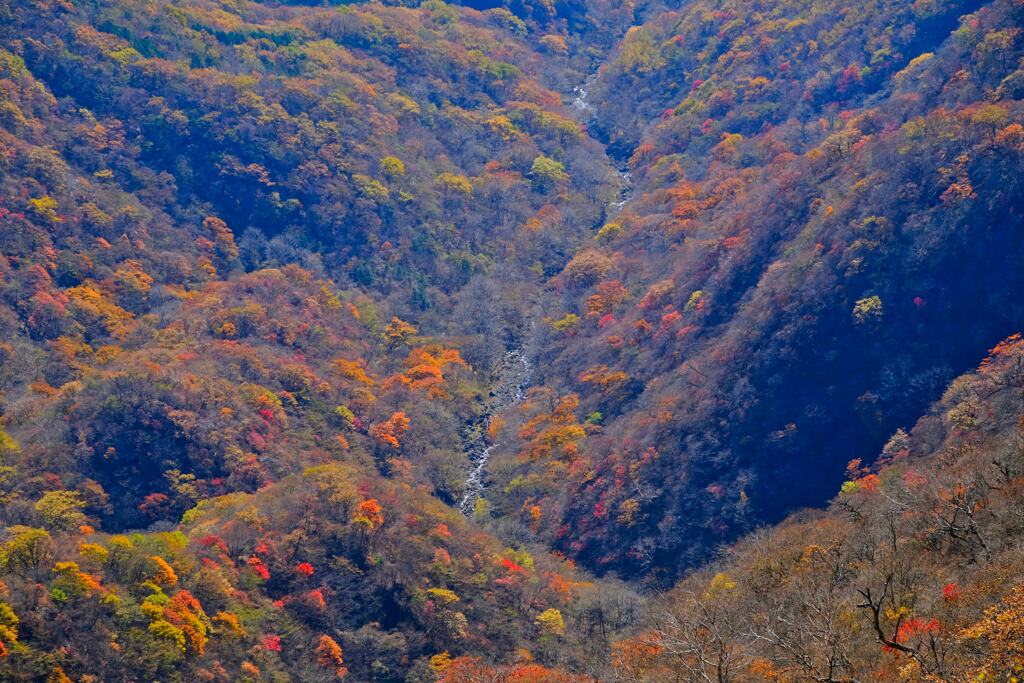 赤城山の紅葉④