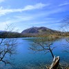 小沼