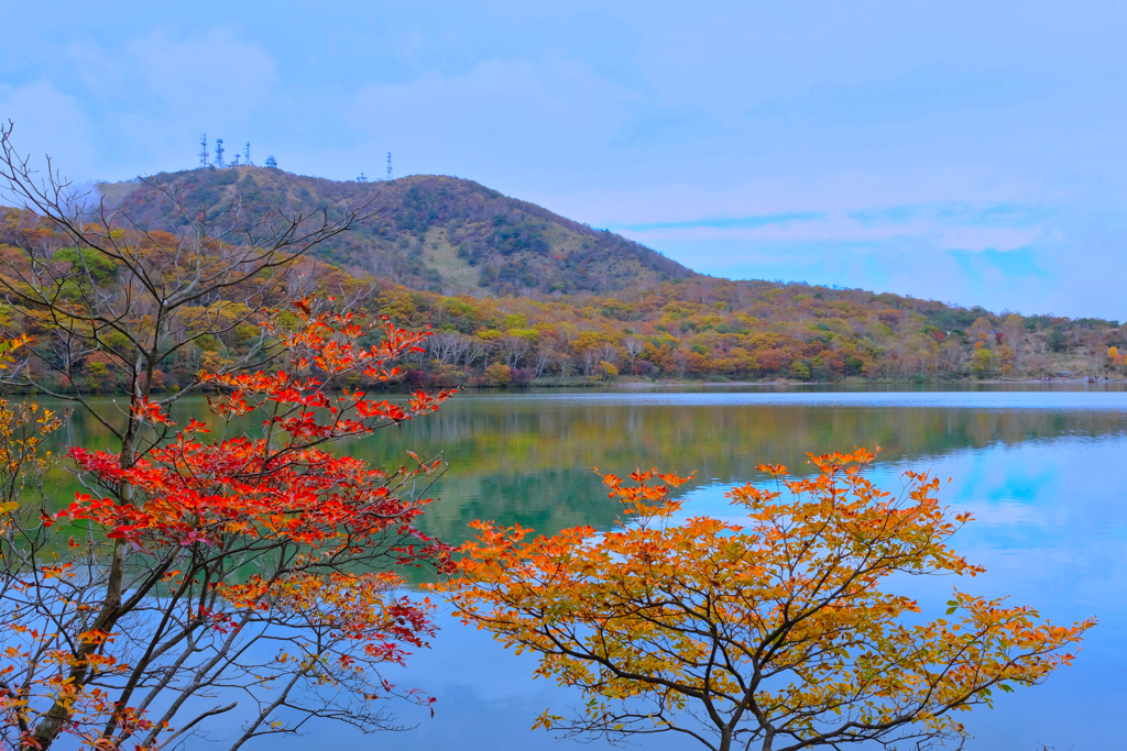 小沼の紅葉⑥