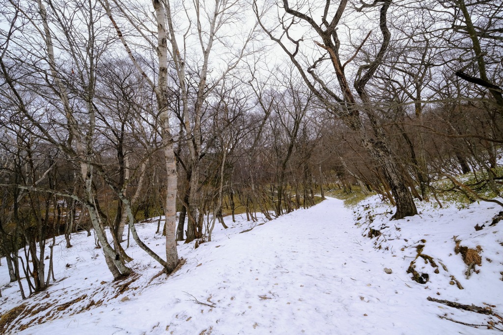 長七郎山②