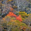 赤城山紅葉④