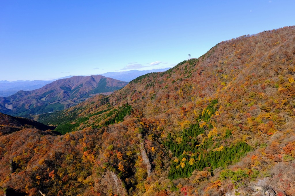 子持山紅葉③