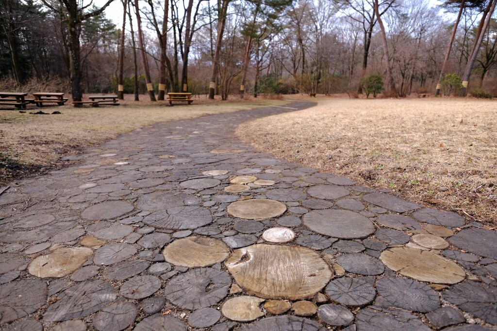 赤城自然園③