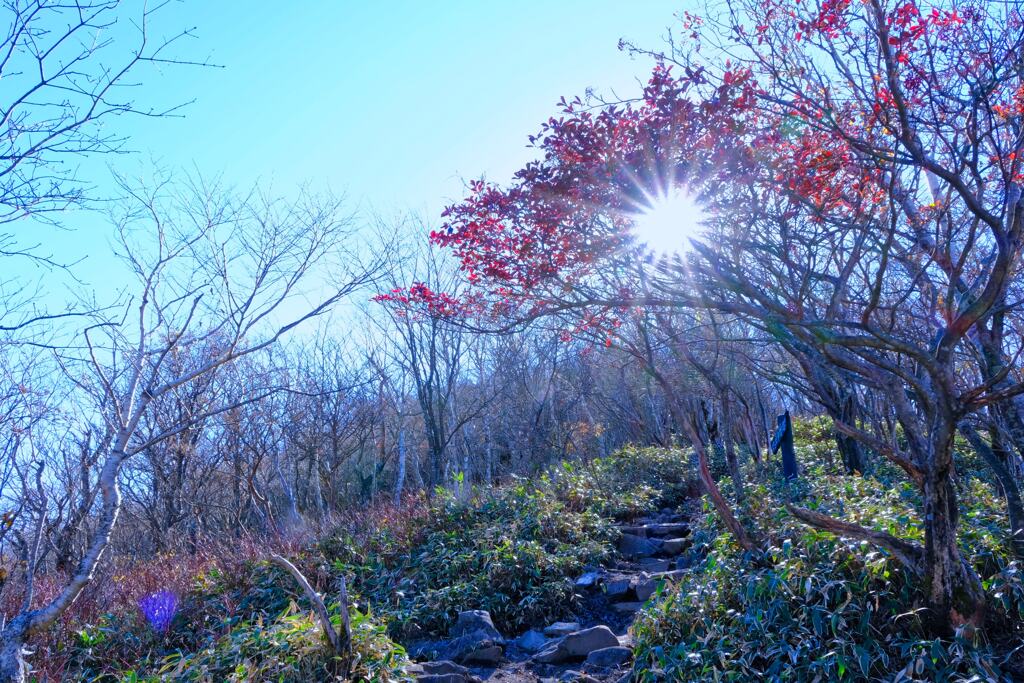 赤城山の紅葉③