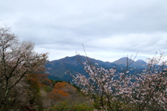 桜山公園⑦