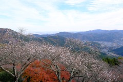 桜山公園⑦