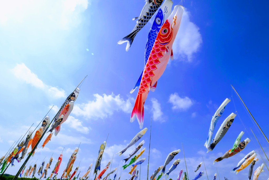 八王子山公園②