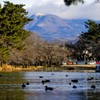 鍋割山（赤城山）