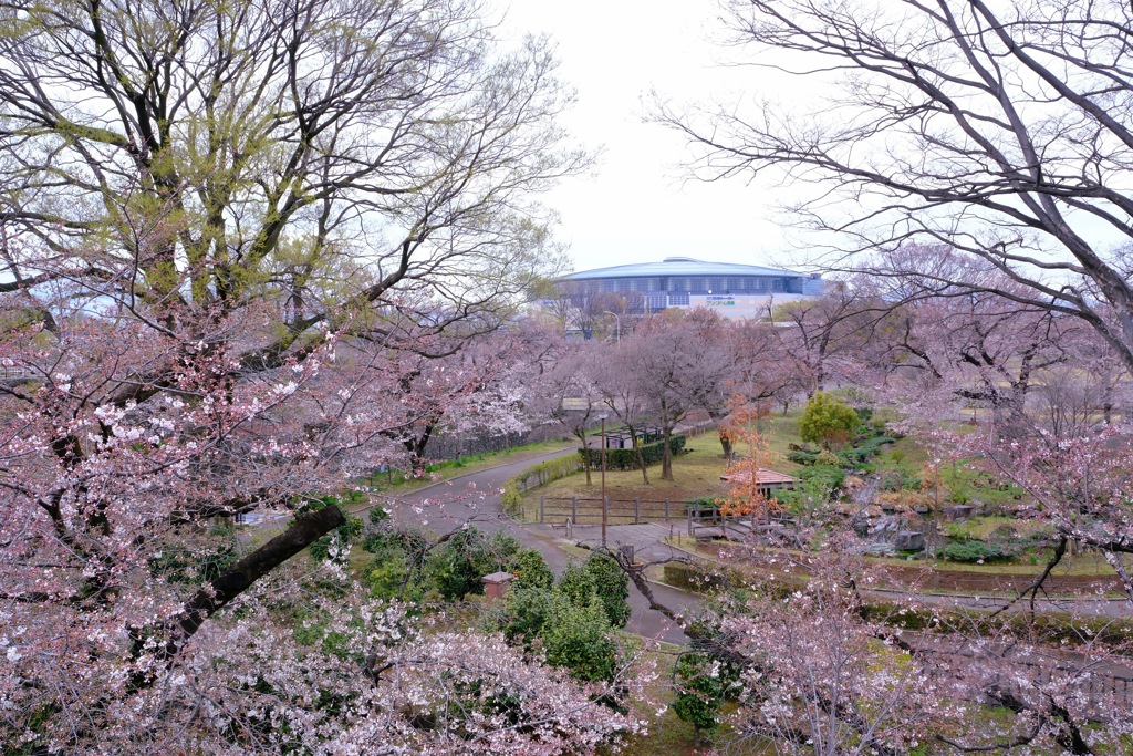前橋公園②
