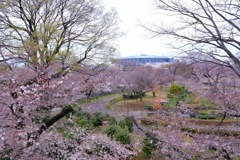 前橋公園②