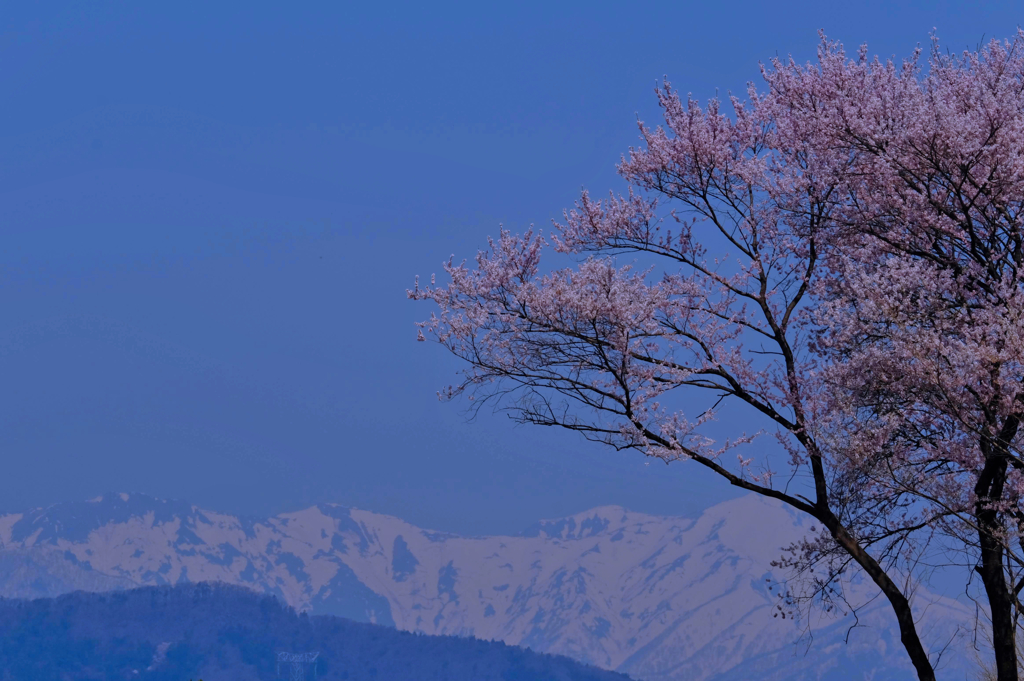 雪山讃歌