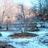 雪化粧