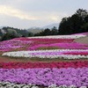 みさと芝桜公園①