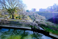 前橋公園②