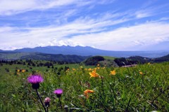 高原の夏風景①