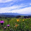 高原の夏風景①