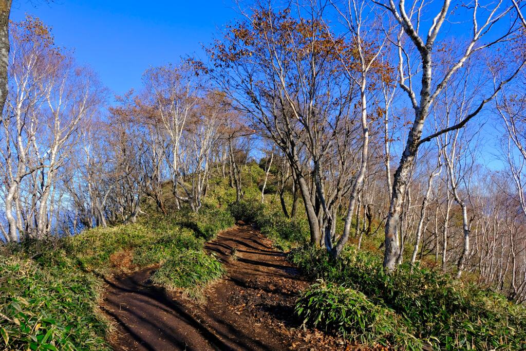 黒檜山尾根