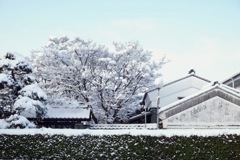 雪が止んで①