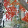 静かな佇まい