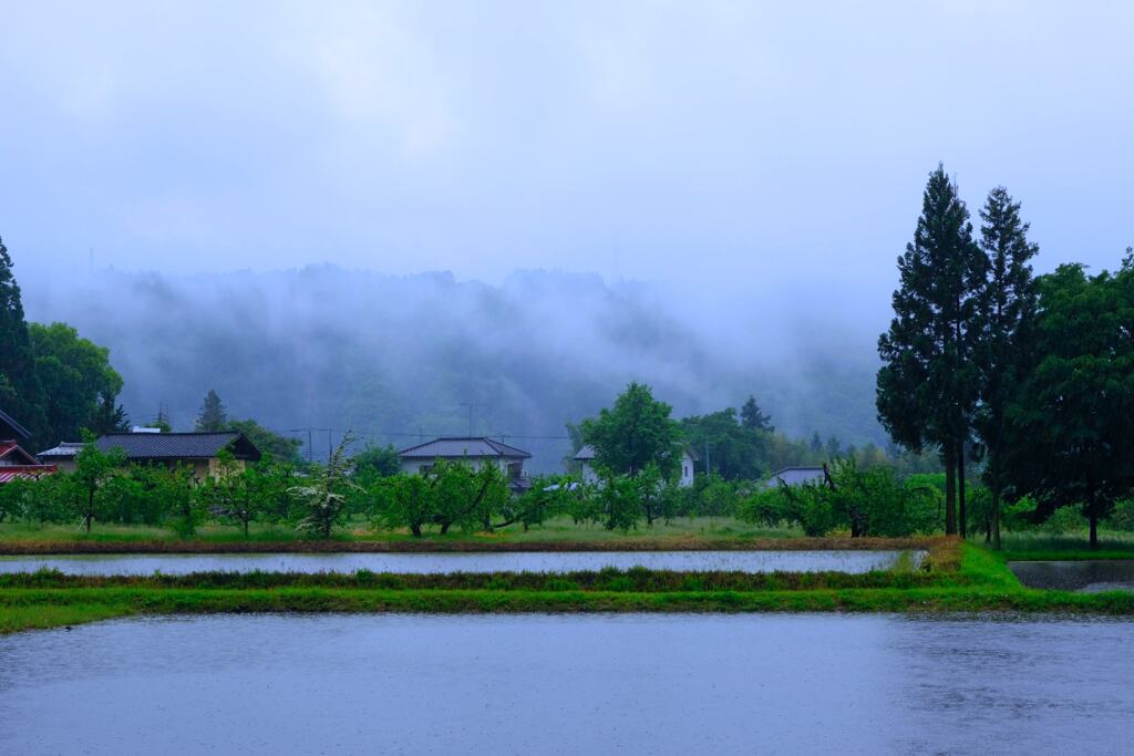 田園風景④