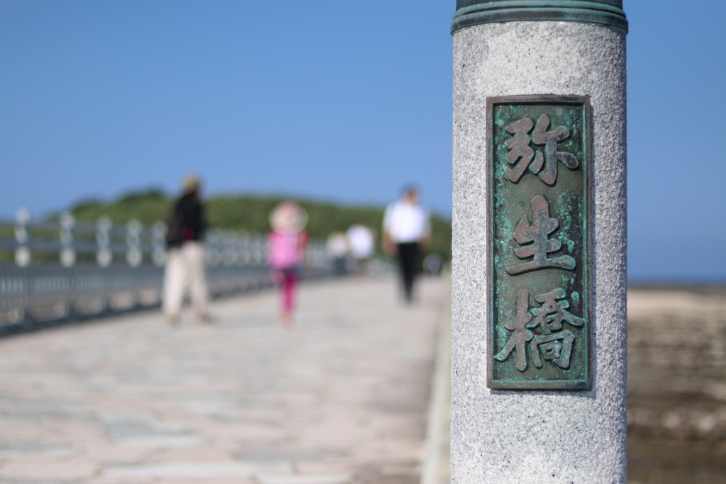 宮崎 青島