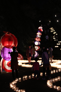 城山公園 ライトアップ