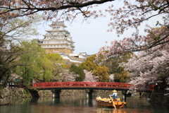 2024年 姫路城の春