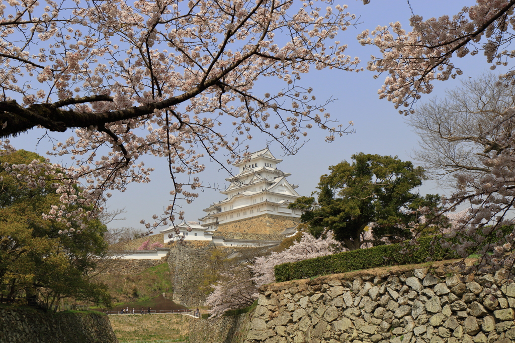 春うららの姫路城