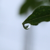 rain drop
