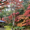 紅葉と休憩所