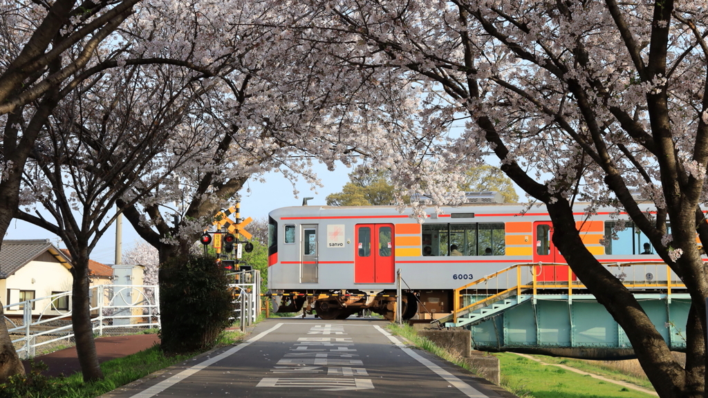 春行く6000系