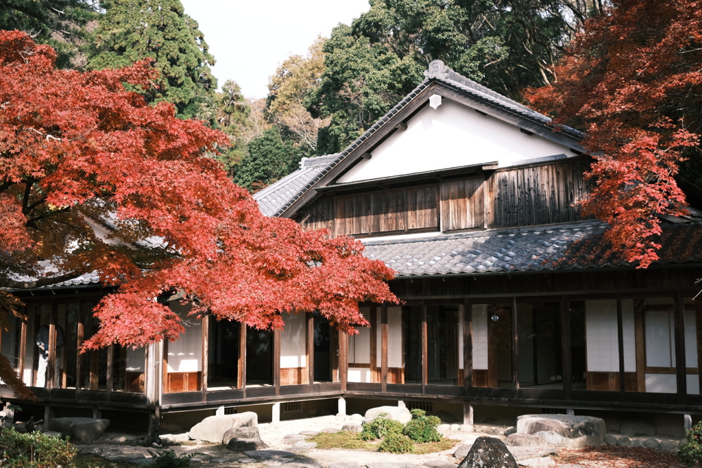 懐かしの光景