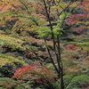 衣替え途中