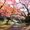 紅葉の庭園