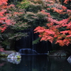 紅葉に流るる滝