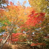 紅葉山