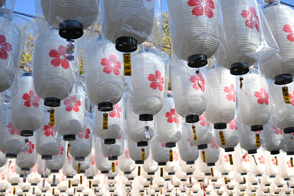 護国神社の提灯