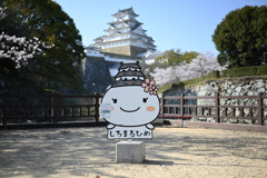 しろまるひめ