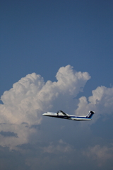 FLYING IN THE SKY