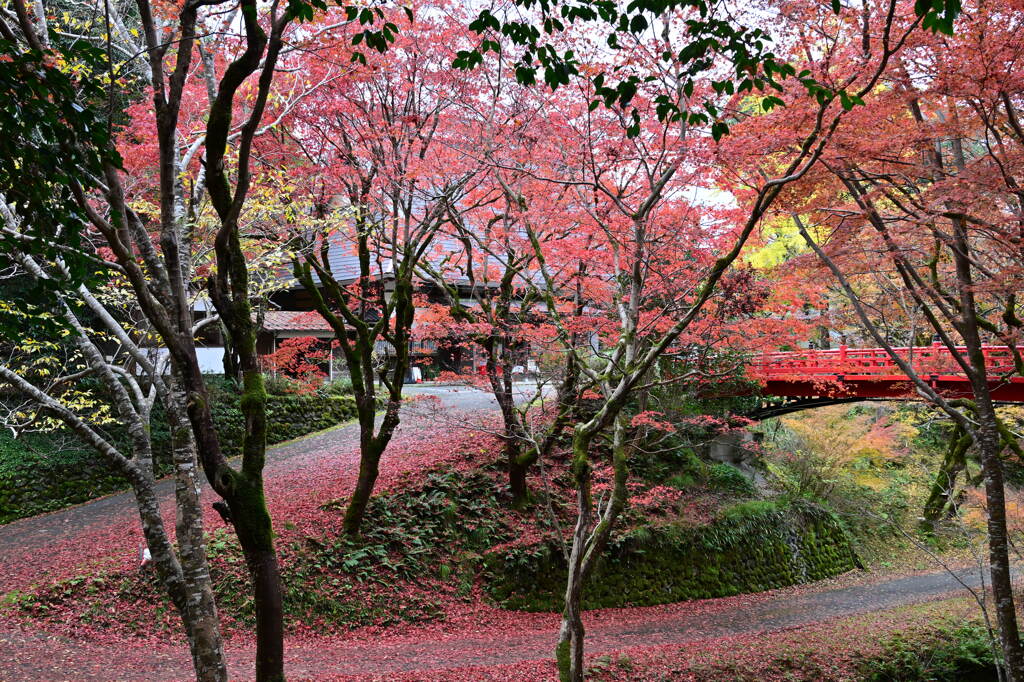 もみじ坂