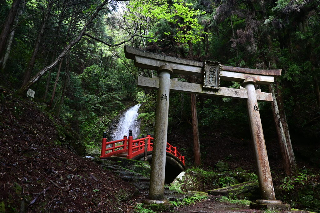 雨上がりの神域