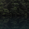 深緑の世界