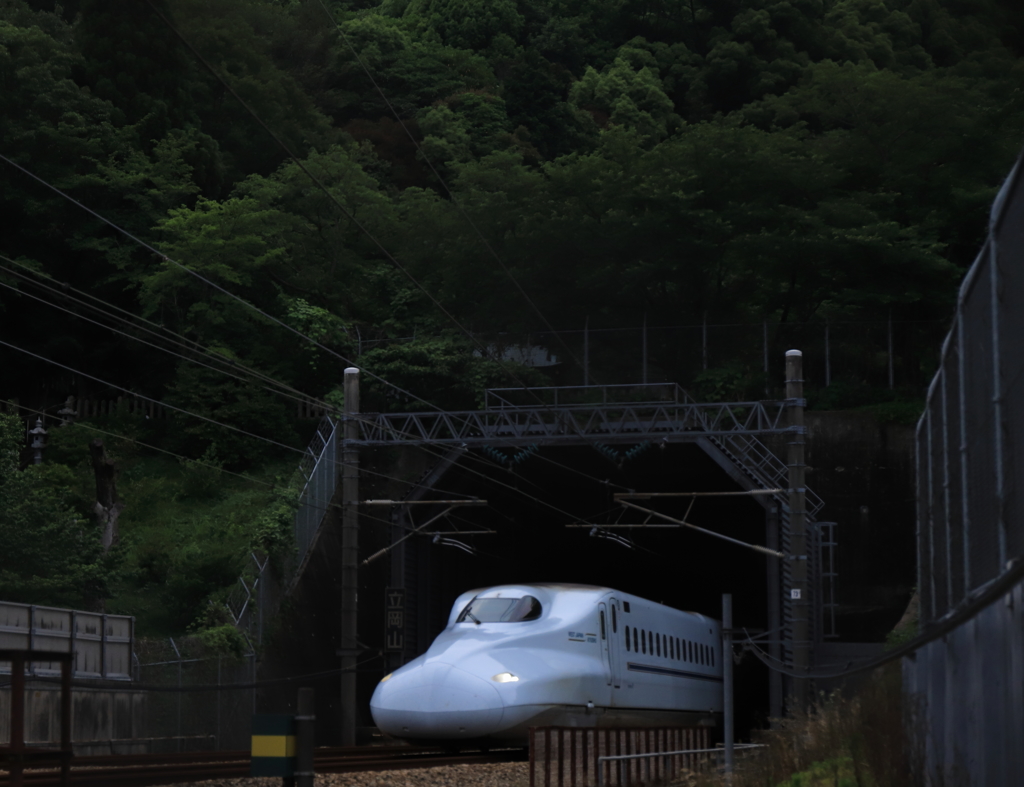 新緑とトンネルと新幹線