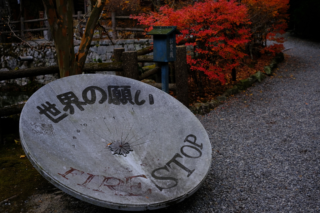 世界の願い