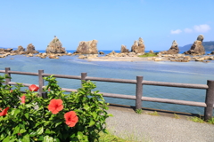 ハイビスカスと橋杭岩
