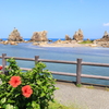 ハイビスカスと橋杭岩