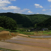 乙大木谷の棚田