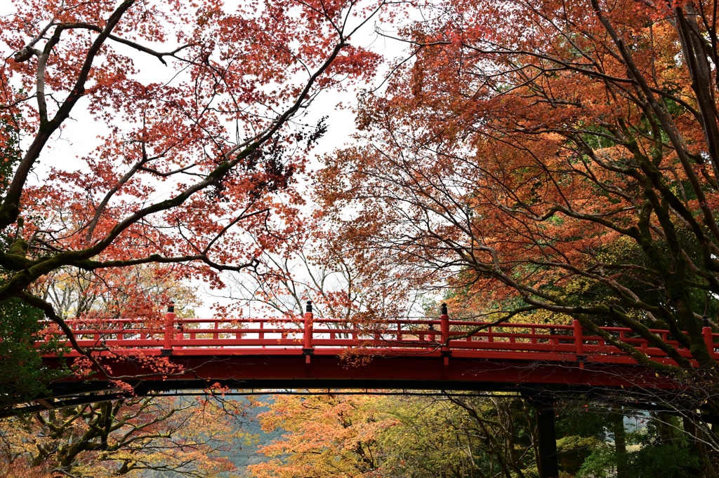 紅葉橋